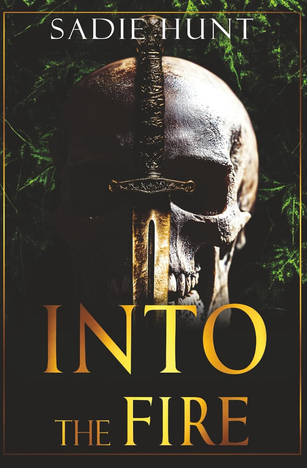 Into the Fire: Discreet Cover Edition