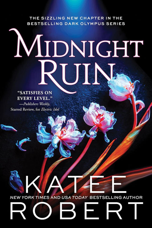 Midnight Ruin: Book 6